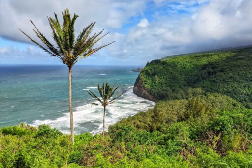 pololu valley lookout