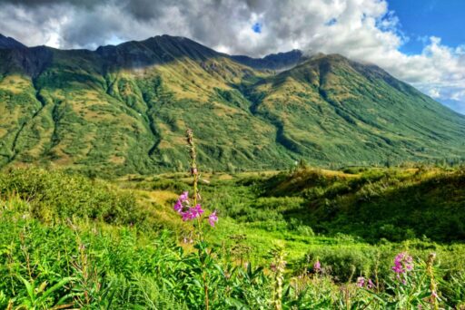view of hatcher pass
