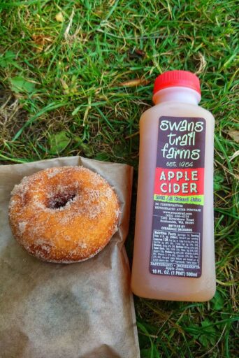 apple cider donut and bottle of apple cider at a pumpkin patch snohomish county