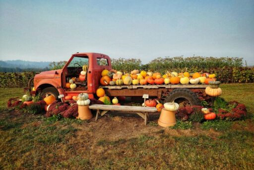 bailey farm truck and pumpkin display