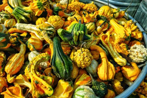 bucket of gourds