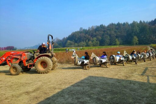crave farm cow train
