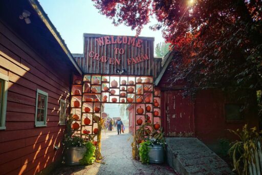 craven farm pumpkin arch