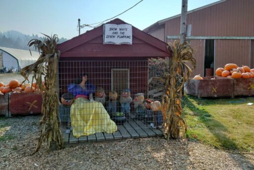 snow white and the seven pumpkins