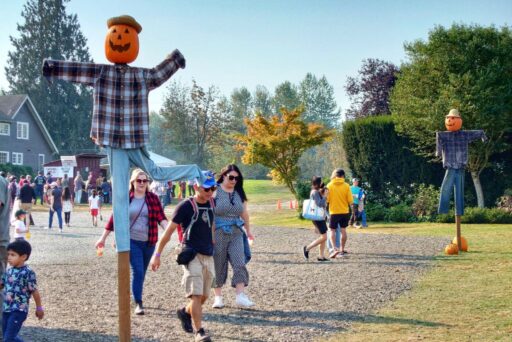 swan trails pumpkin scarecrows