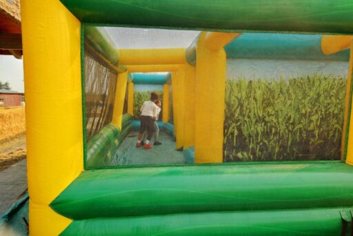 thomas farm inflateable corn maze