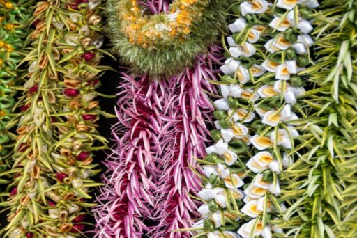 various plants leis