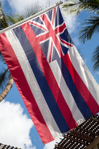 hawaii state flag