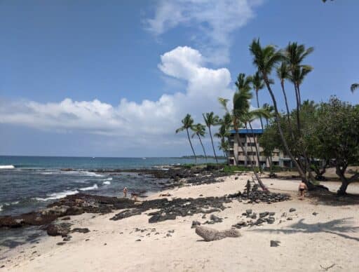 honls beach