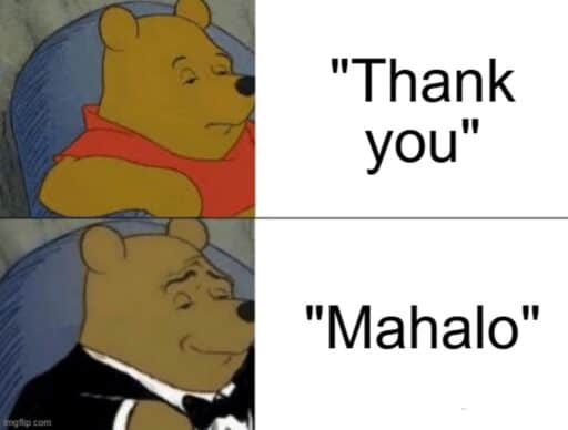 sophisticated pooh meme "thank you mahalo"