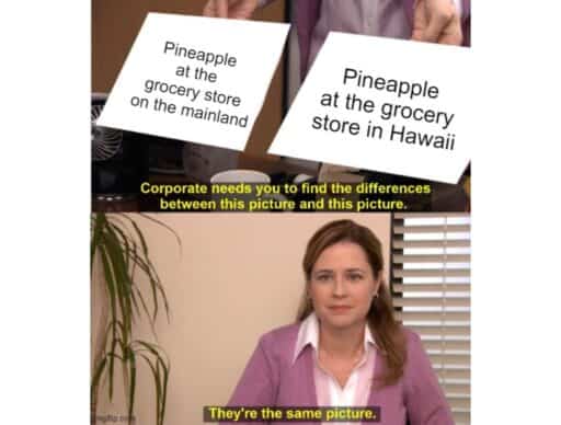 the office meme "pineapple at the grocery store"