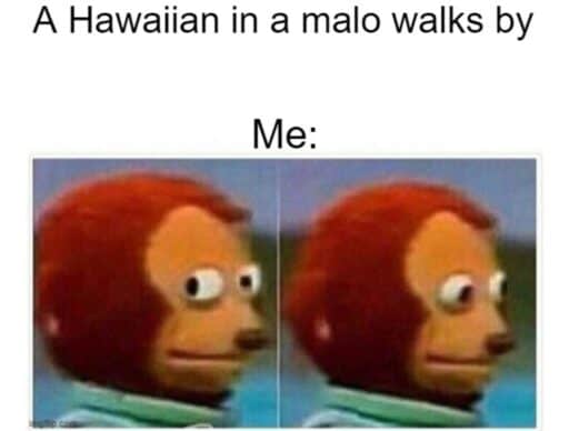 muppet eyes meme "hawaiian in a malo walks by"