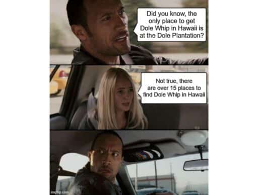 the rock meme "dole whip"