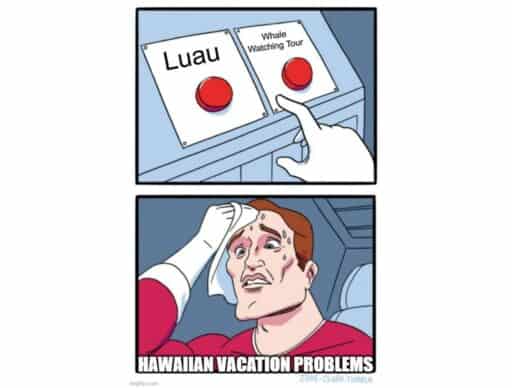 red button meme "luau or whale watching tour hawaiian vacation problems"