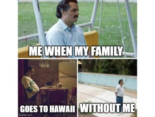 alone meme "me when my family goes to hawaii without me"