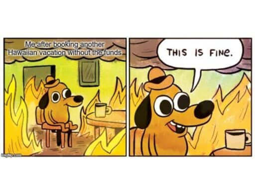 fire dog meme "this is fine"