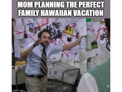 conspiracy guy meme "mom planning the perfect family hawaiian vacation"