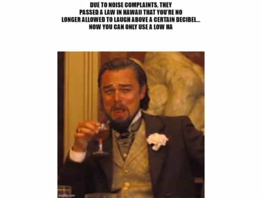 leonardo dicaprio meme "a low ha joke"