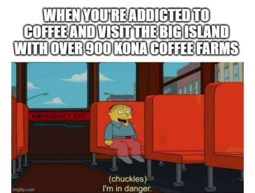 simpsons meme "i'm in danger"