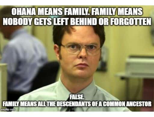 dwight meme "ohana means family. false"
