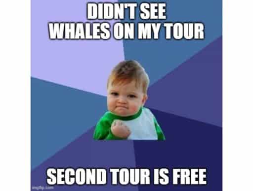 success baby meme "didn't see whales on my tour second tour is free"