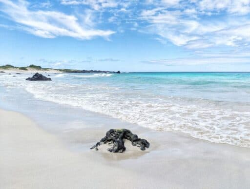 makalawena white sand beach