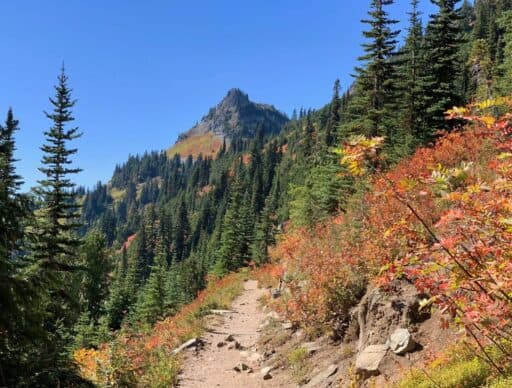 hiking mt rainier with fall foliage