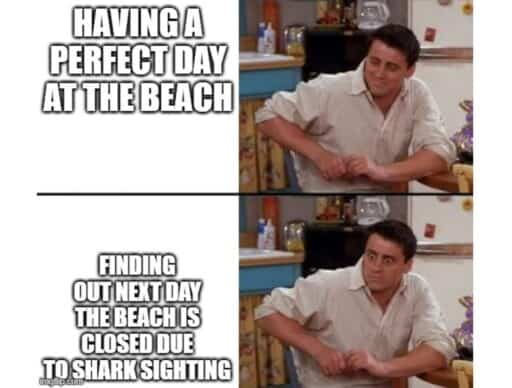 joey meme "having a perfect day at the beach" "finding out next day the beach is closed due to shark sighting"