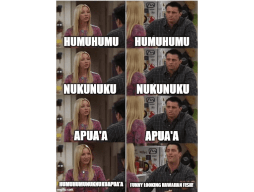 phoebe and joey meme "humuhumunuknukuapua'a""funny looking hawaiian fish!"