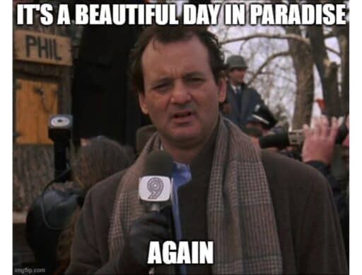 groundhog meme "it's a beautiful day in paradise again"
