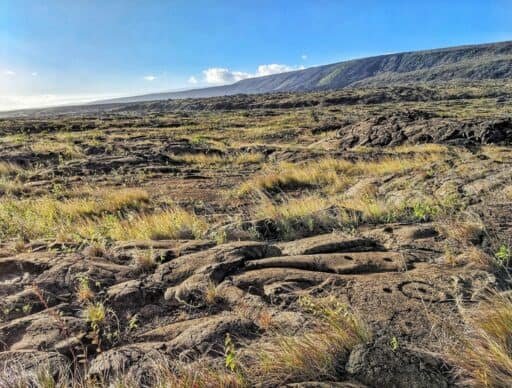 pu'u loa petroglyph field, a Big Island proposal idea