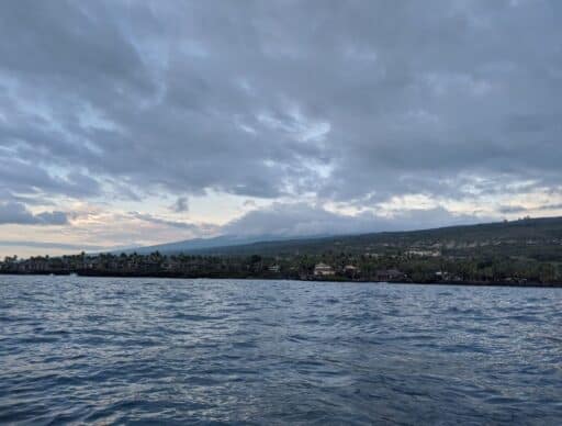 keahou bay is where you can snorkel with manta rays