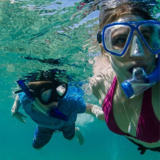 underwater view of snorkelers