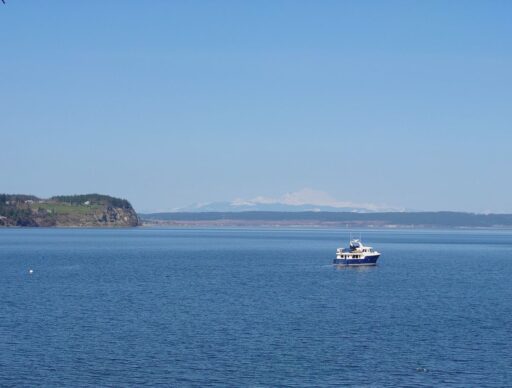 Small white and blue boat floating on calm water near Coupeville with distant shoreline and snow capped mountains under a clear blue sky. Scenic waterfront views and watching boats on Penn Cove are relaxing things to do in Coupeville.