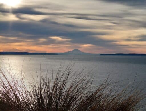 Tall beach grass overlooks calm water and a distant mountain silhouette at sunset near Coupeville beneath dramatic clouds. Watching sunsets and taking in peaceful coastal scenery are unforgettable things to do in Coupeville.