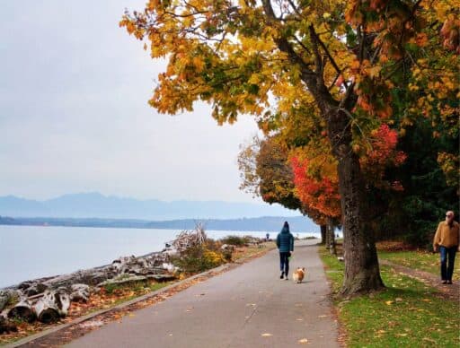 person walking their corgi on the bike path with autumn colored trees one side and the puget sound on the other side