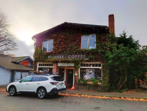 front of pegasus cofee house covered in ivy