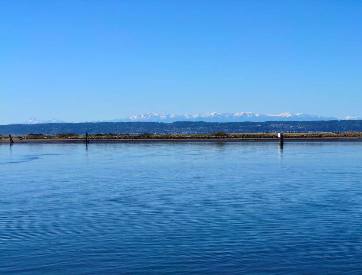 view of the olympic mountains from the back patio of the muse