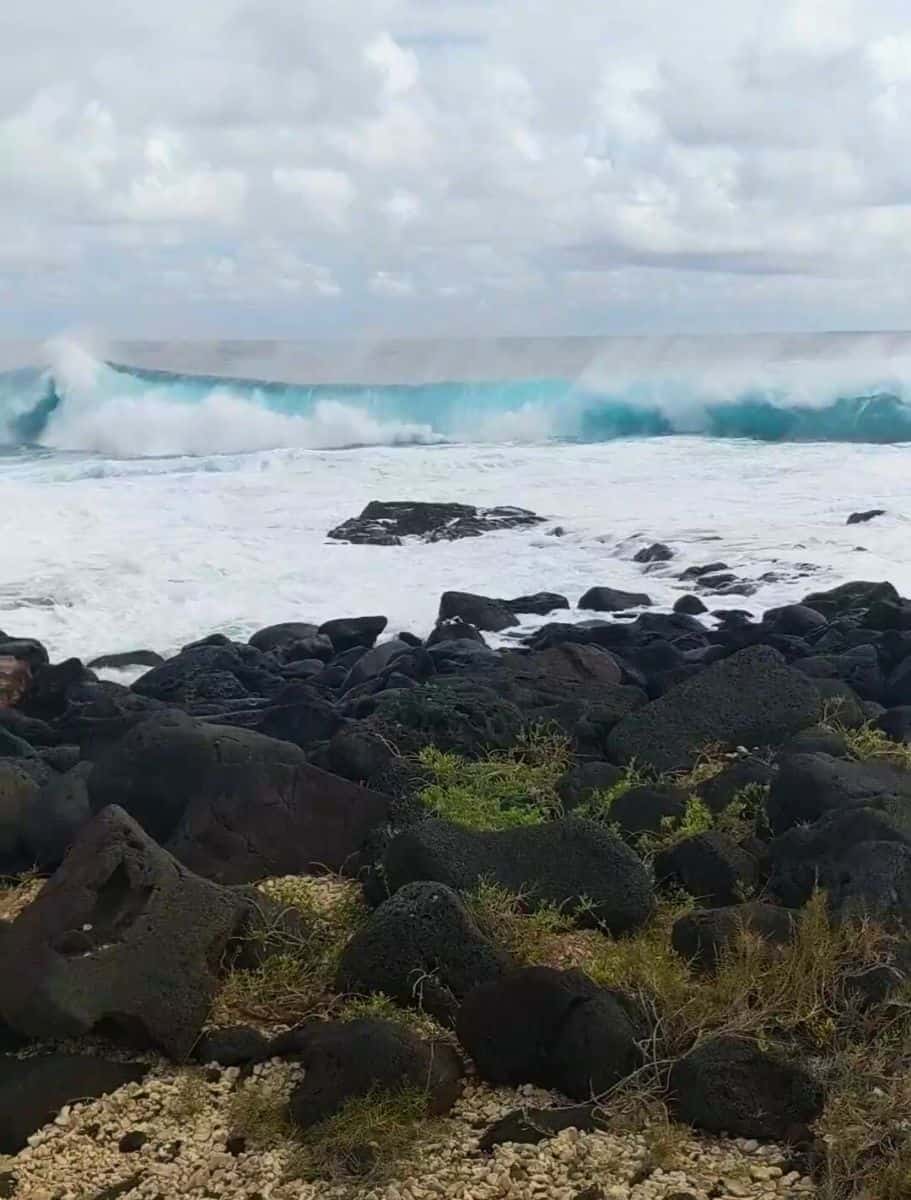 high surf waves in hawaii