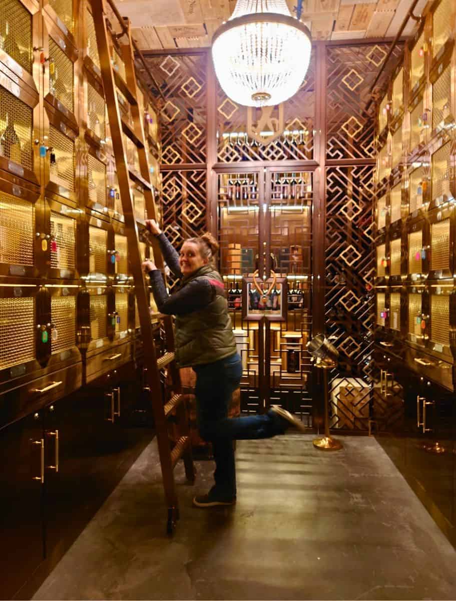 me trying to climb the ladder inside the vault