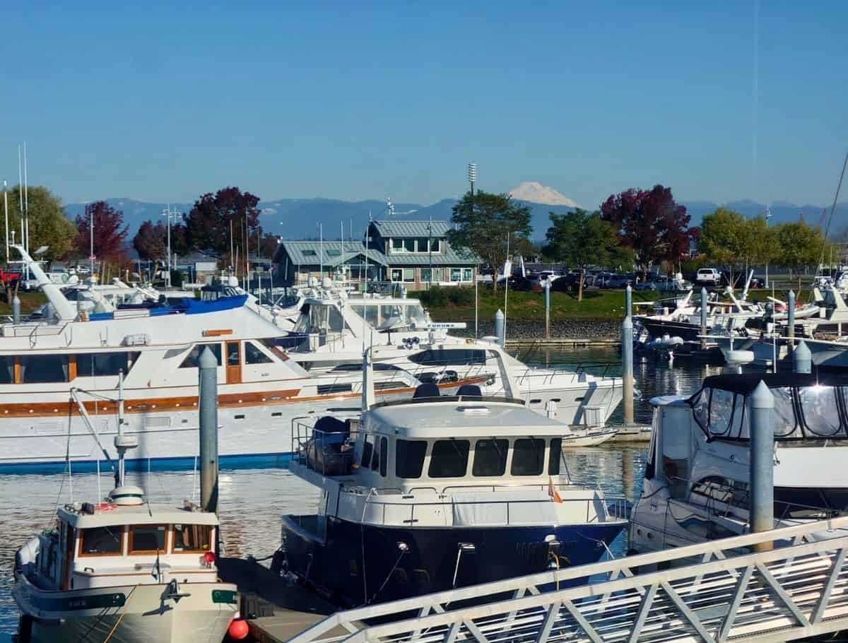 the everett marina and mt baker