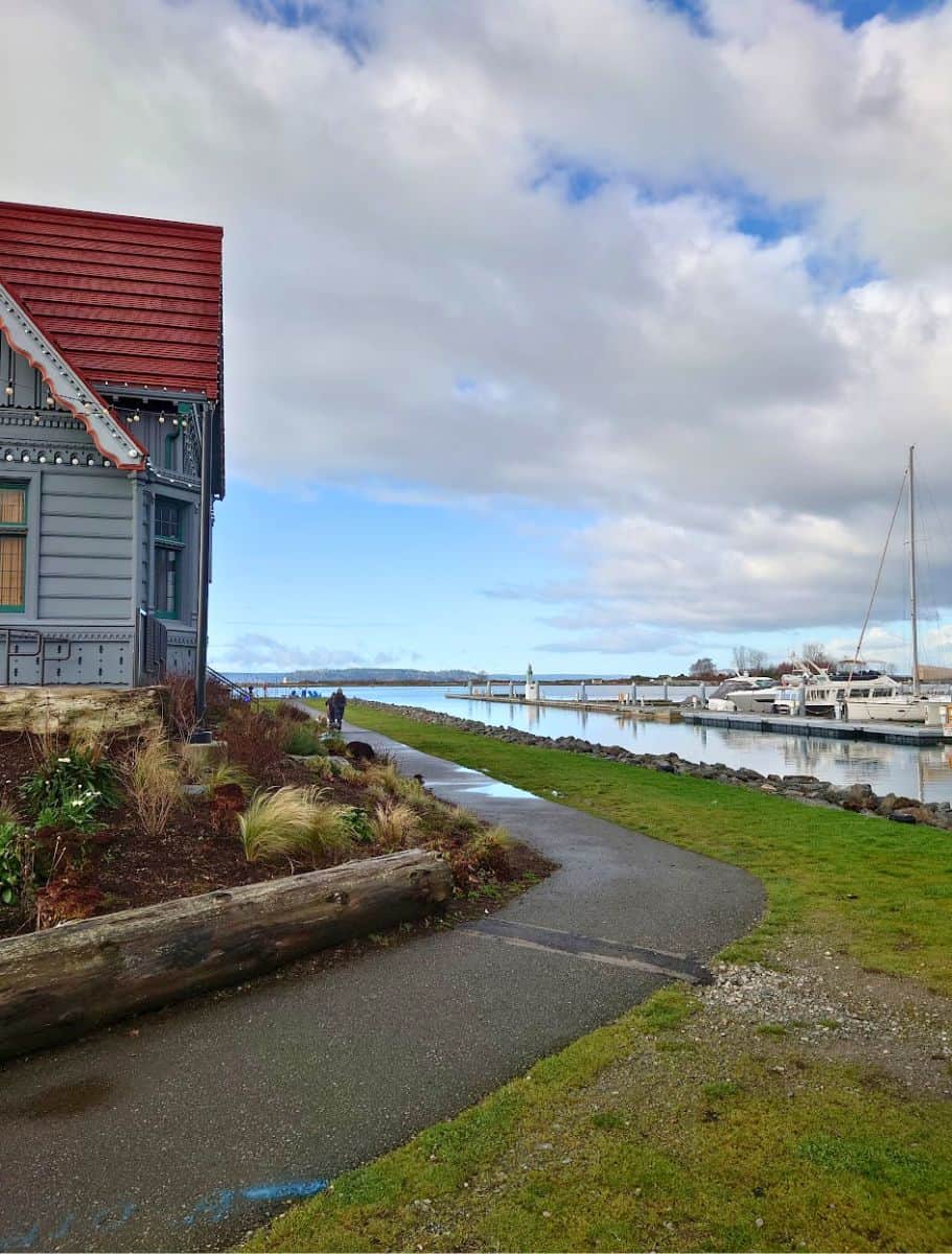 the path between the Muse coffee shop and the boat marina