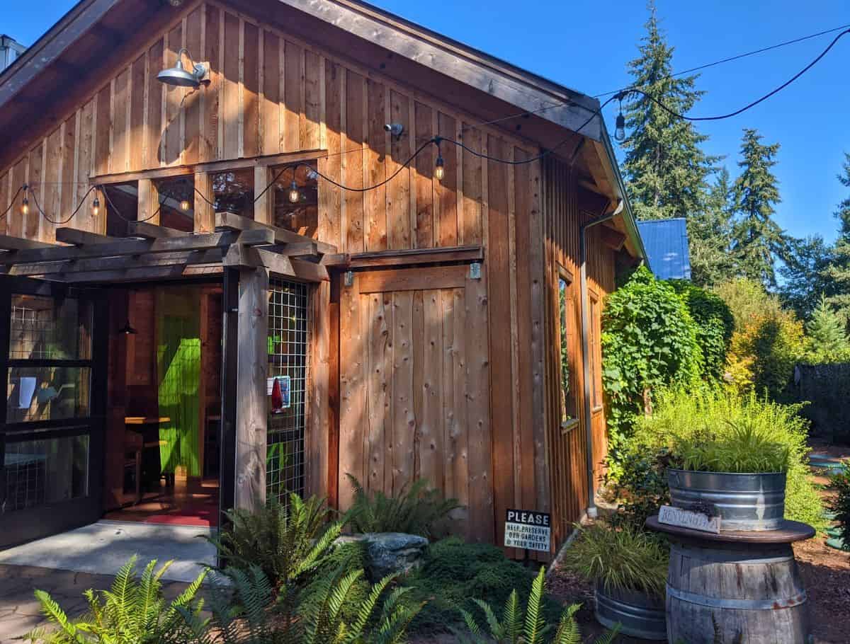 Rustic wooden coffee shop surrounded by lush greenery and string lights on Whidbey Island during a sunny afternoon. The cozy cabin style setting and peaceful outdoor atmosphere make this cafe feel like one of the best coffee spots on Whidbey Island.