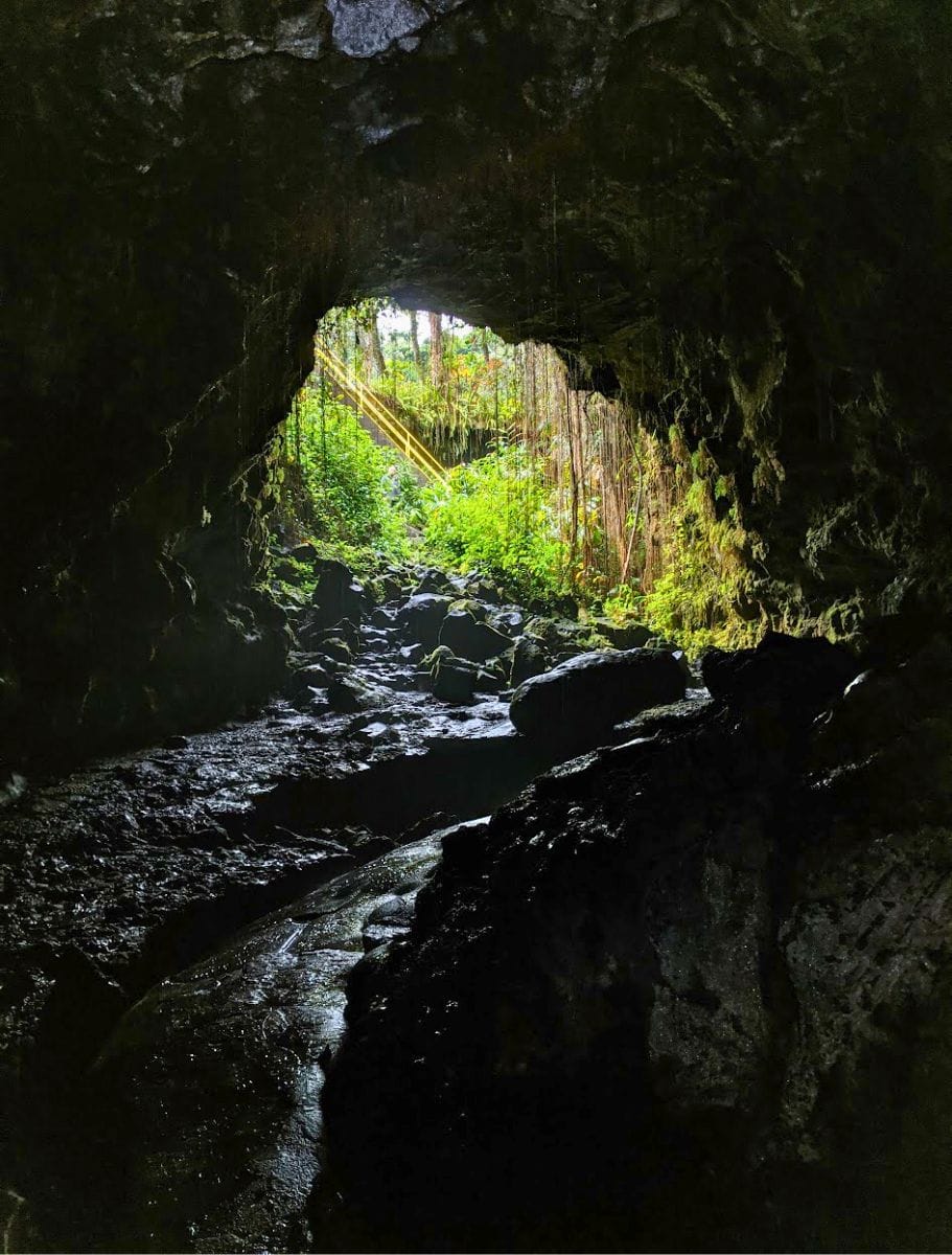 Mysterious lava tube entrance at kaumana caves surrounded by lush ferns on the Big Island, a natural shelter and adventure spot during rainy days.