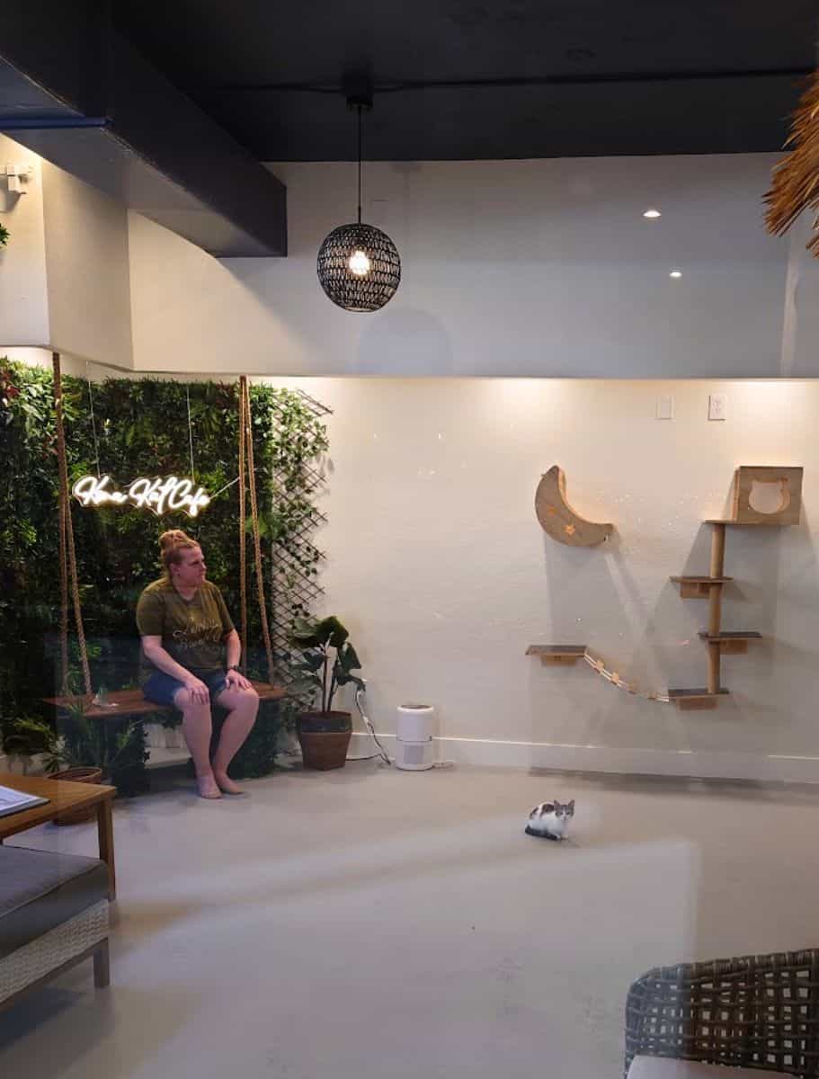 A woman sitting contemplatively in a modern, minimalist interior with a small cat and greenery,at the kona cat cafe