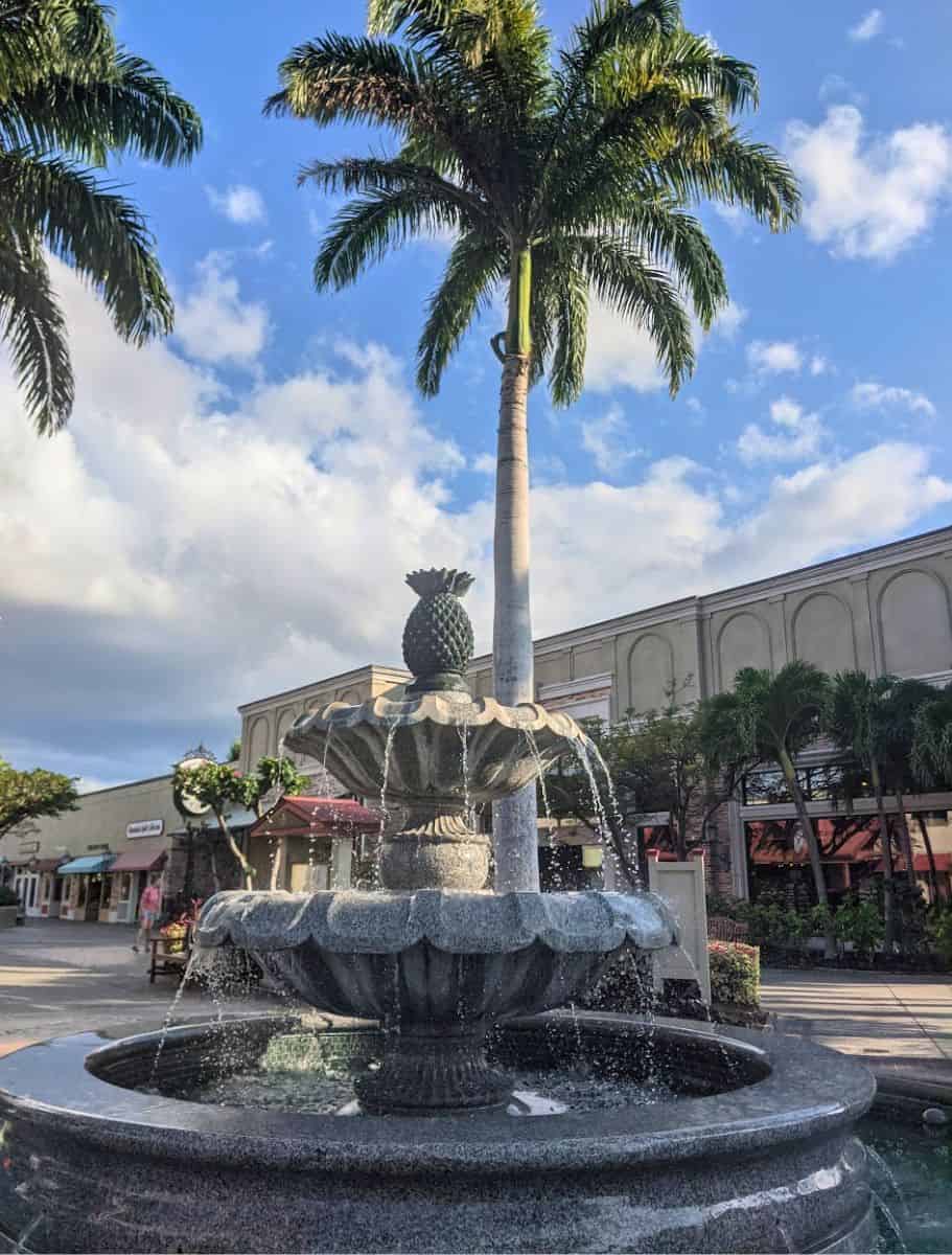 Pineapple-topped fountain in a sunny town square flanked by palm trees at queens marketplace