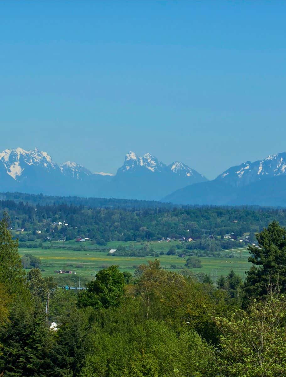 Aerial view of the North Cascades with lush greenery and snow-capped peaks under a clear blue sky.