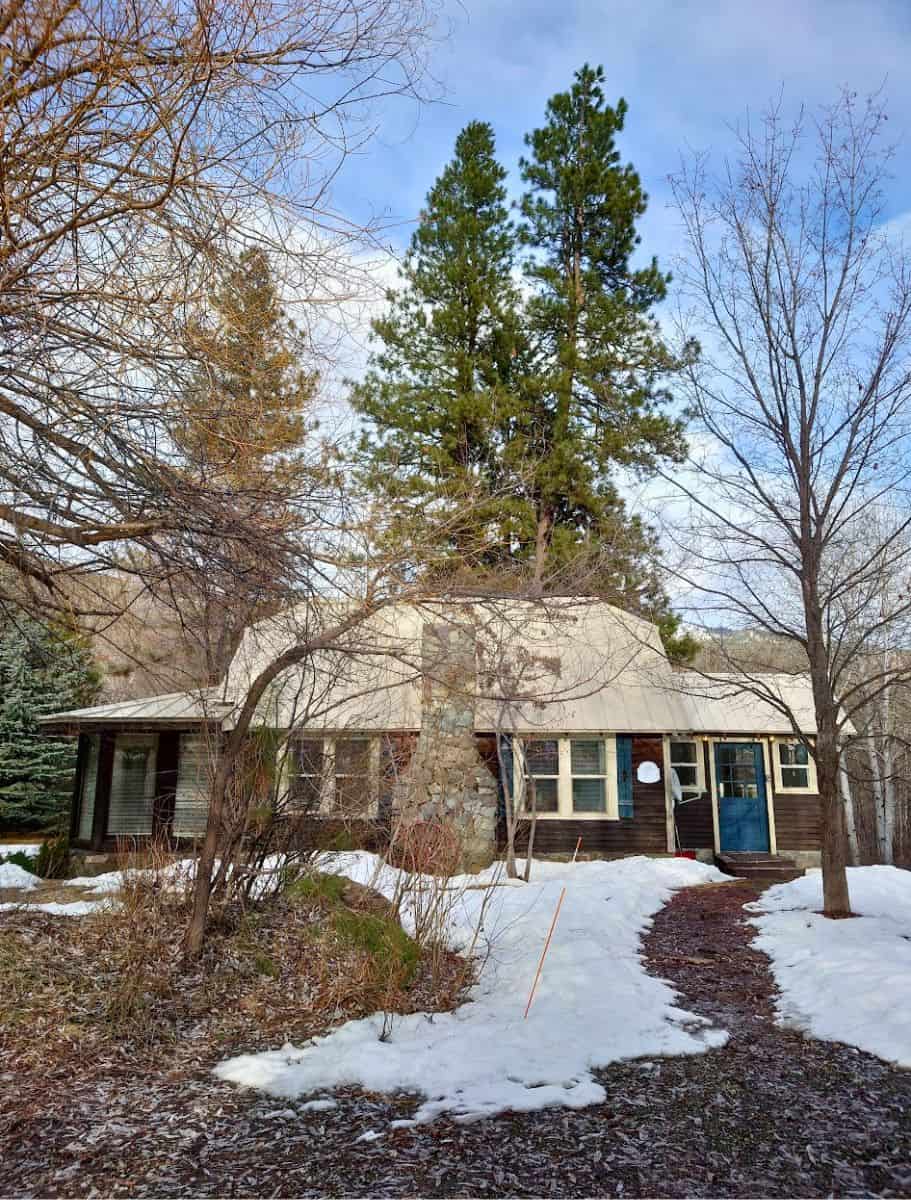 Cozy cabin nestled among bare and evergreen trees with remnants of snow on the ground