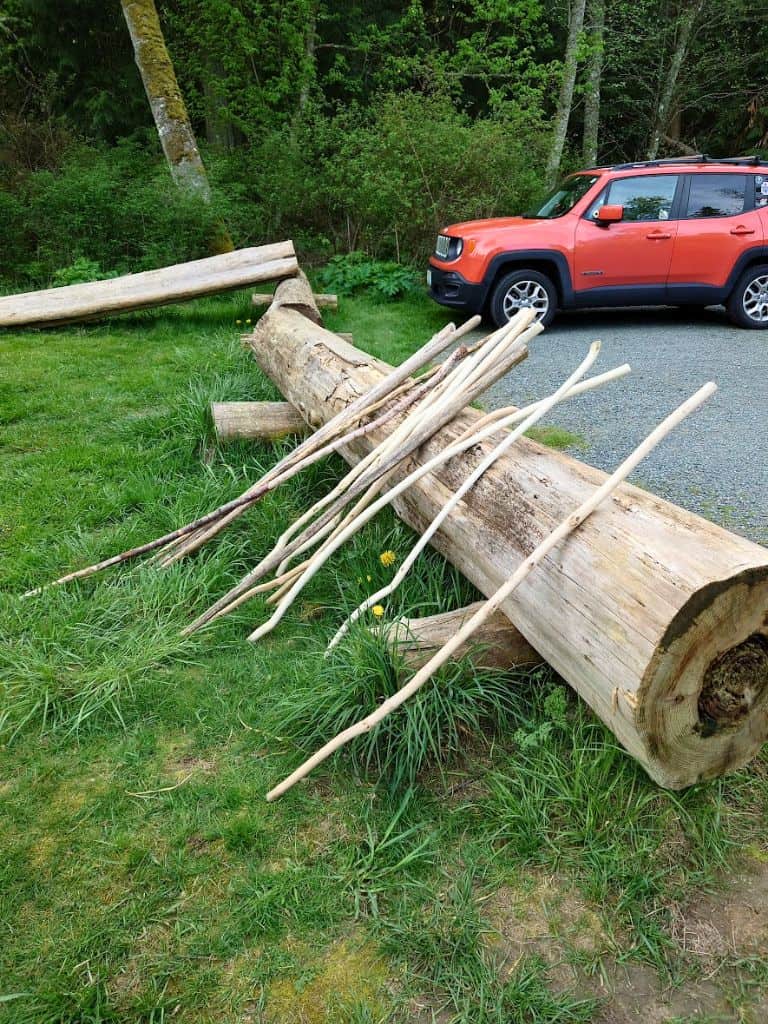 Walking sticks leaning on log left for the next hikers at Dog Woods trails