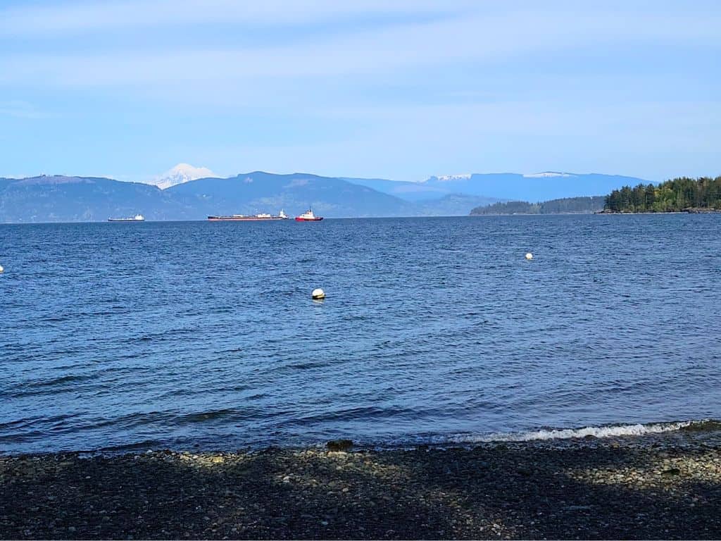 View from Young County Park beach with Mt Baker peaking in the background